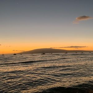 Meet your Posher, Sydney